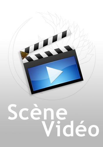 1 2 3 Go Johny Go – Scène 4