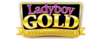Description logo