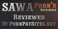 Porn PaySites